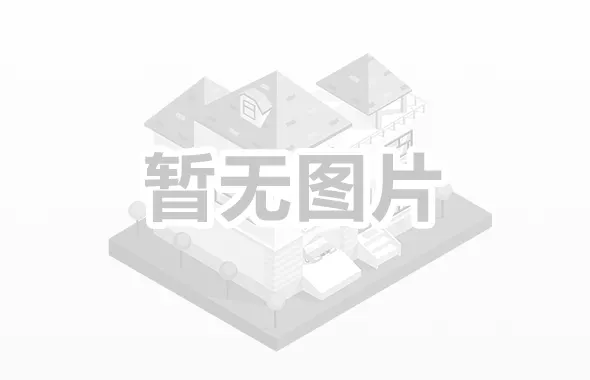 中线网